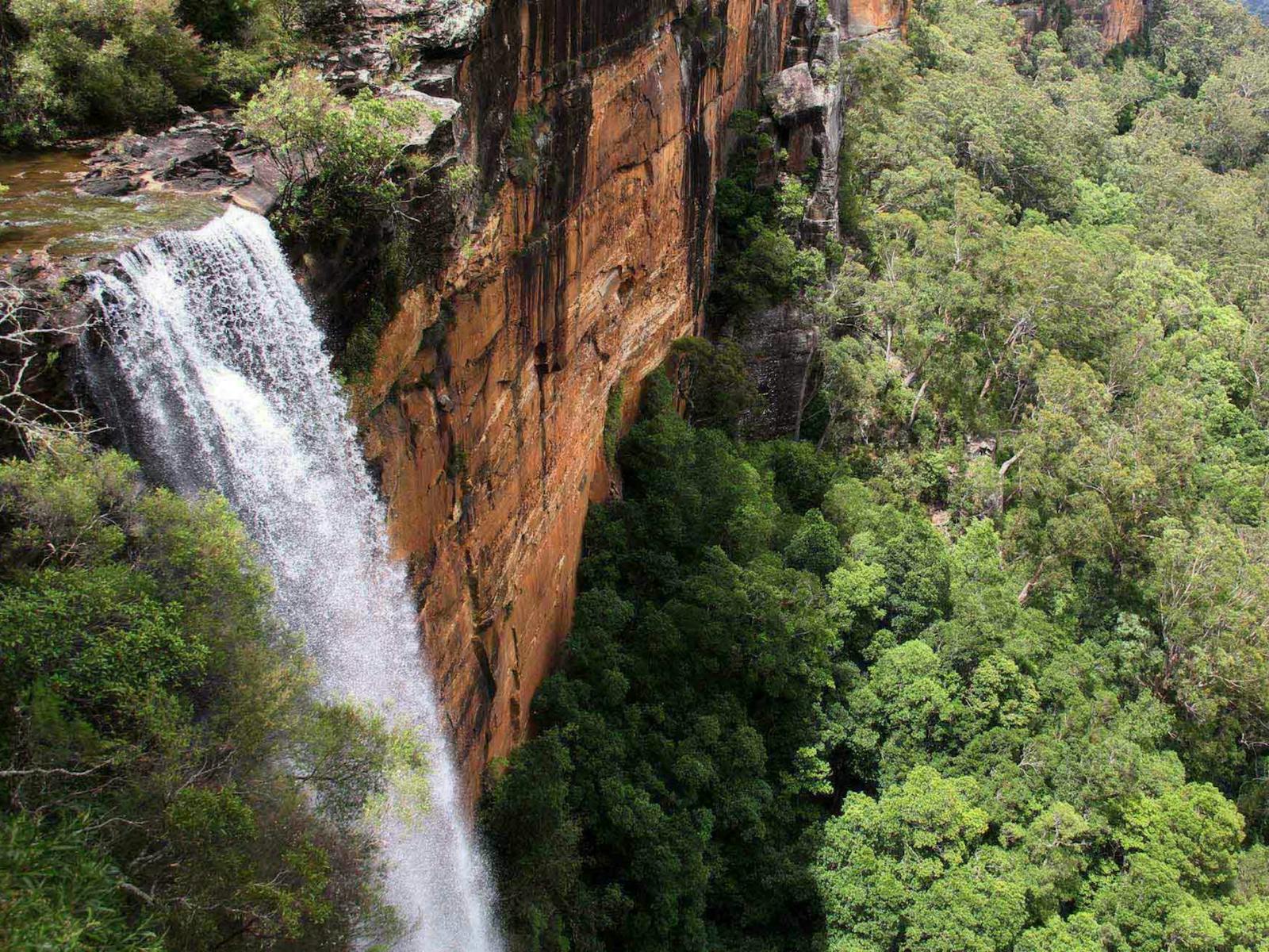 Blick von oben auf die Fitzroy Falls. Foto: John Yurasek