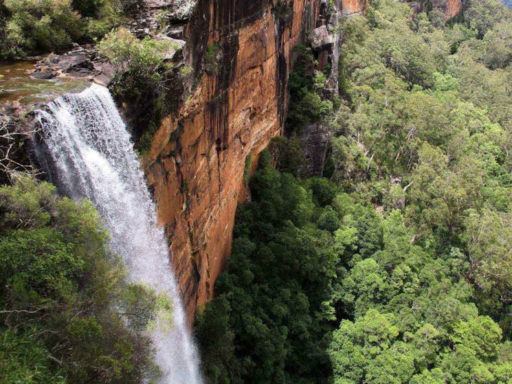 Fitzroy Falls view from above. Photo: John Yurasek