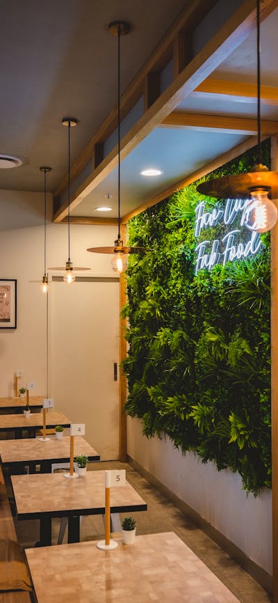 Good vibe and decent cup of coffee