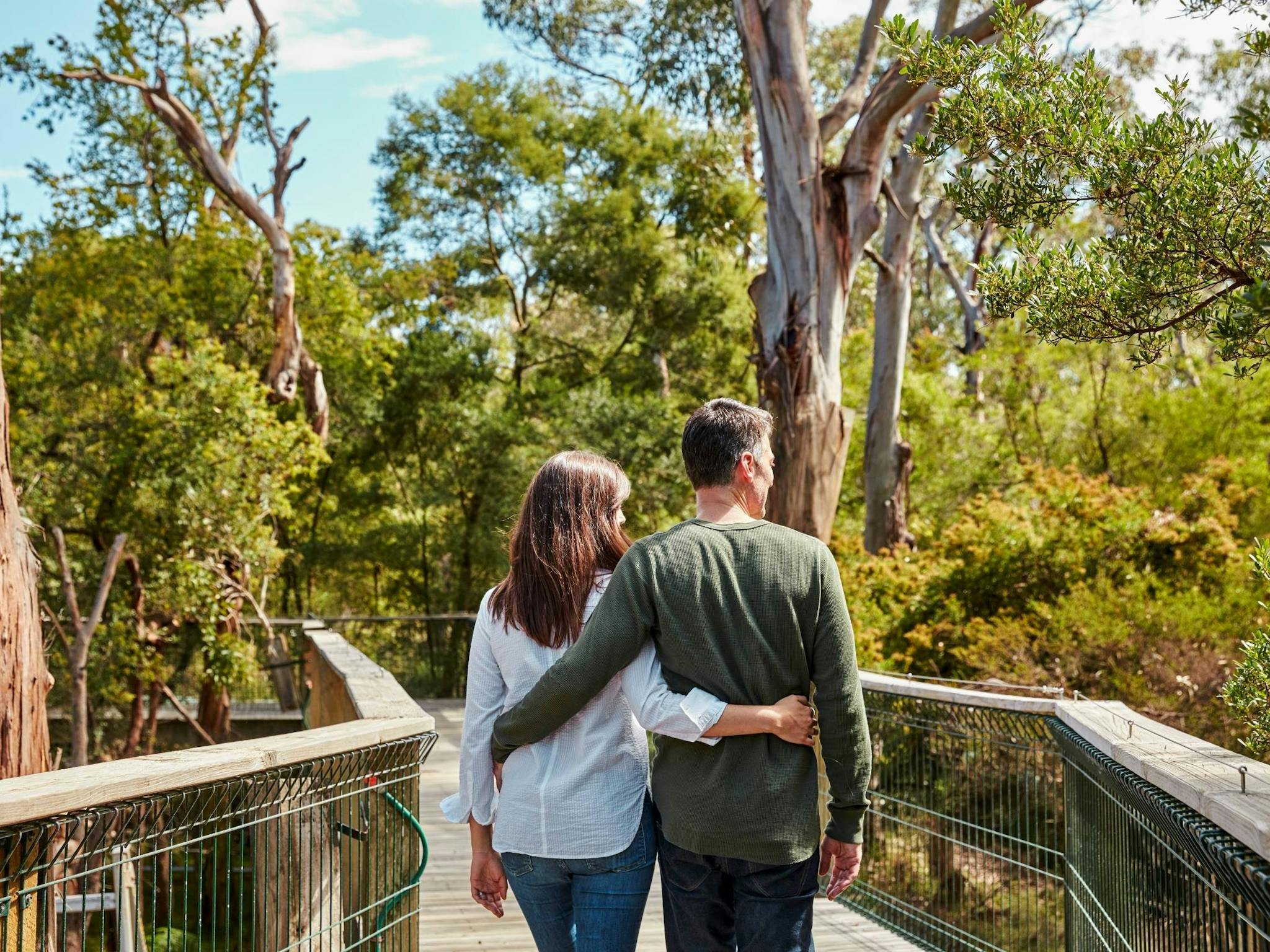 Koala Conservation Reserve Boardwalks