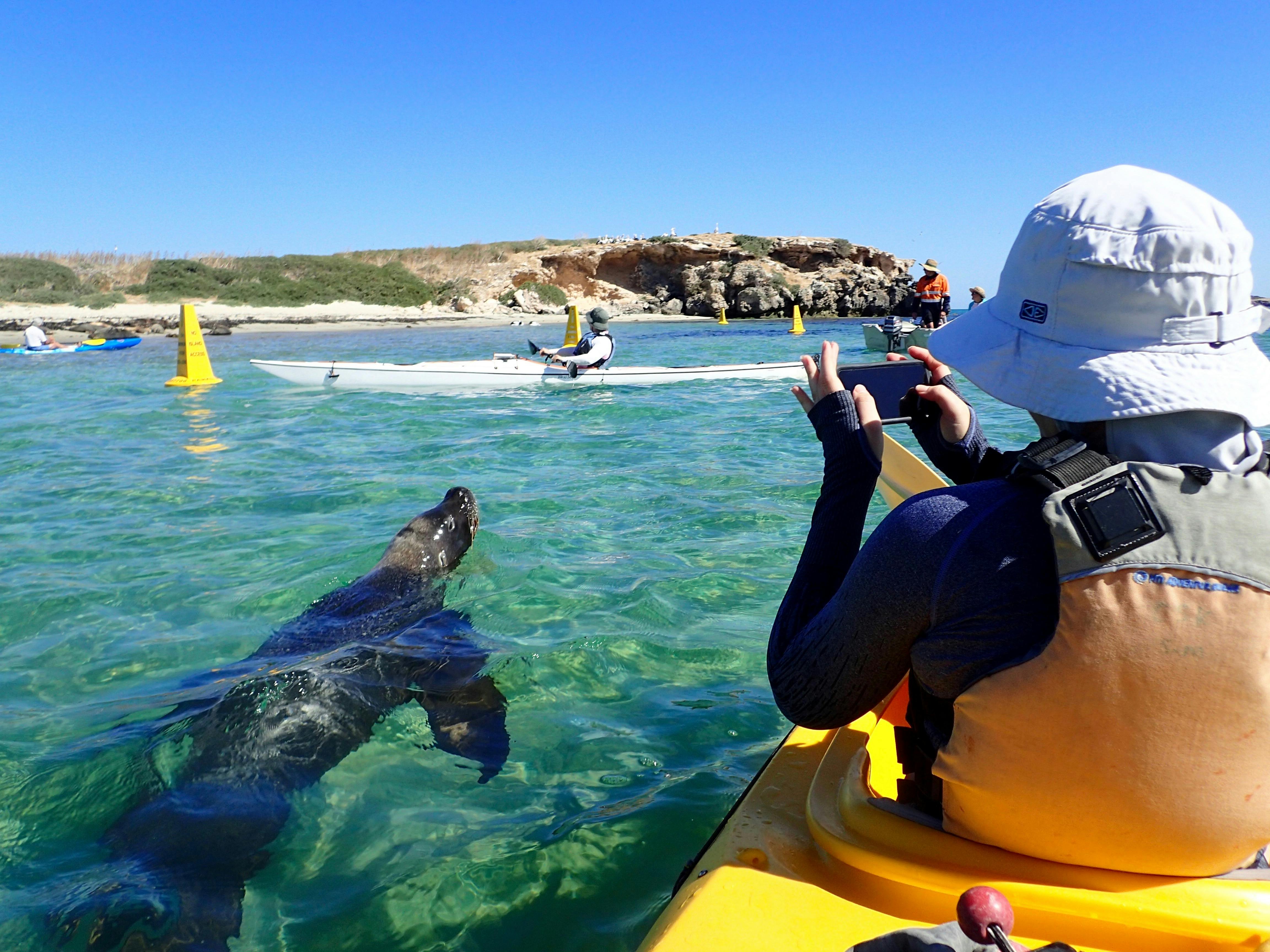 Capricorn SeaKayaking