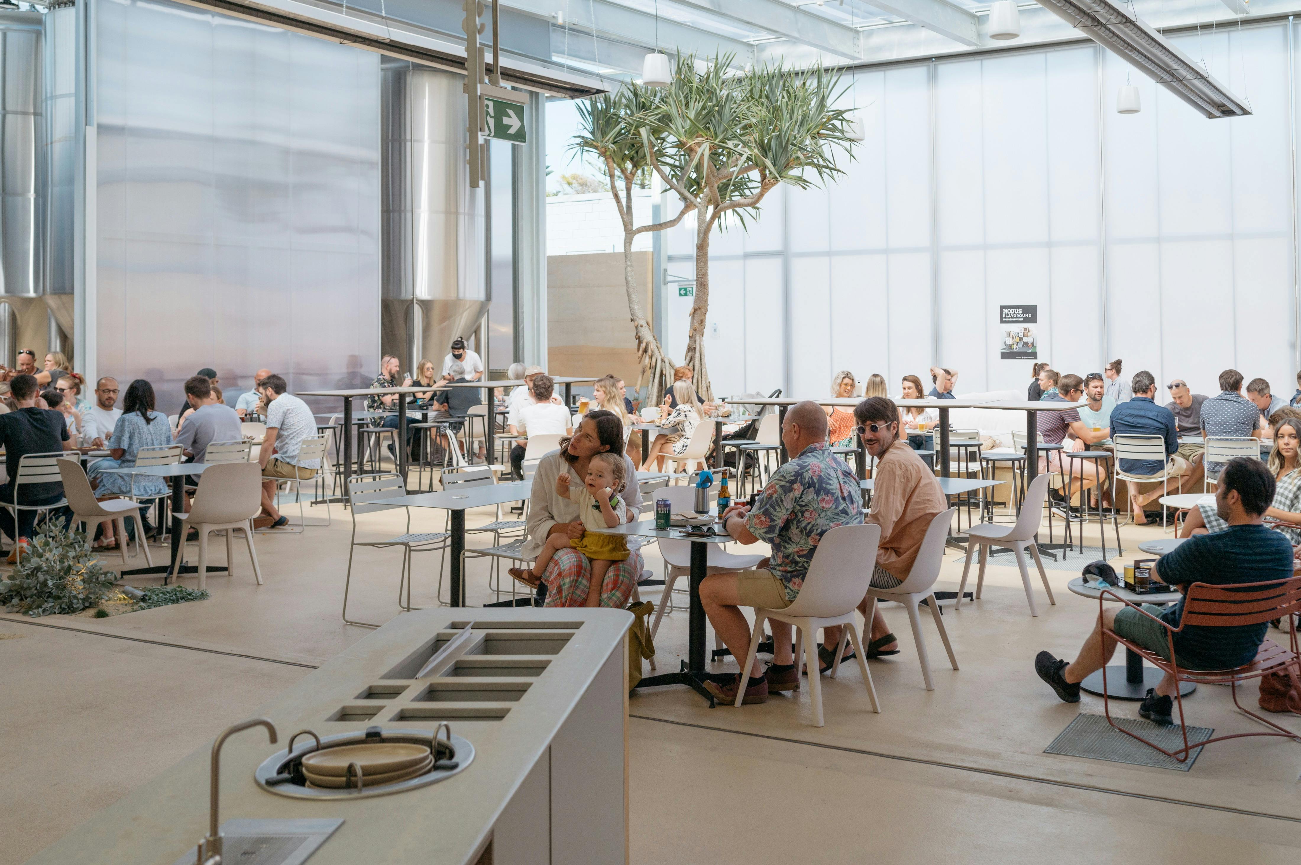 modus operandi outside lunch