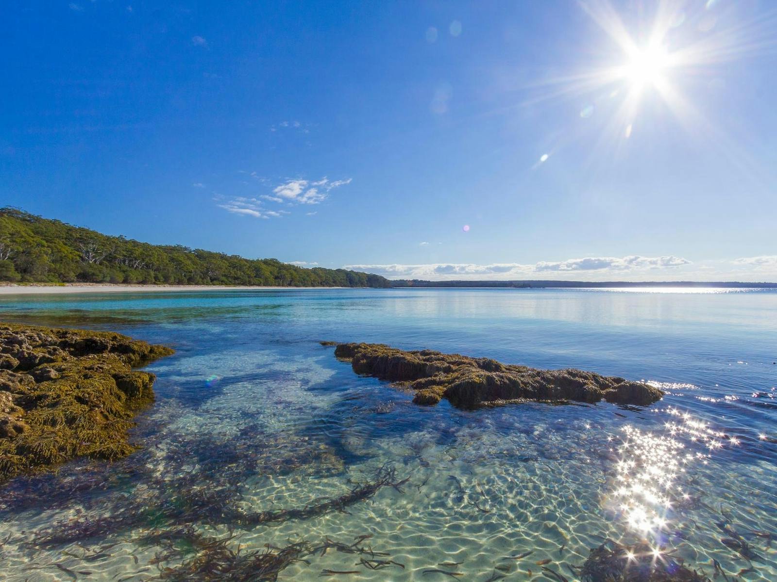 Bristol Point Rock Shelf