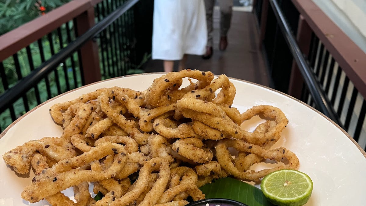 Finger Food Calamari platter walked around