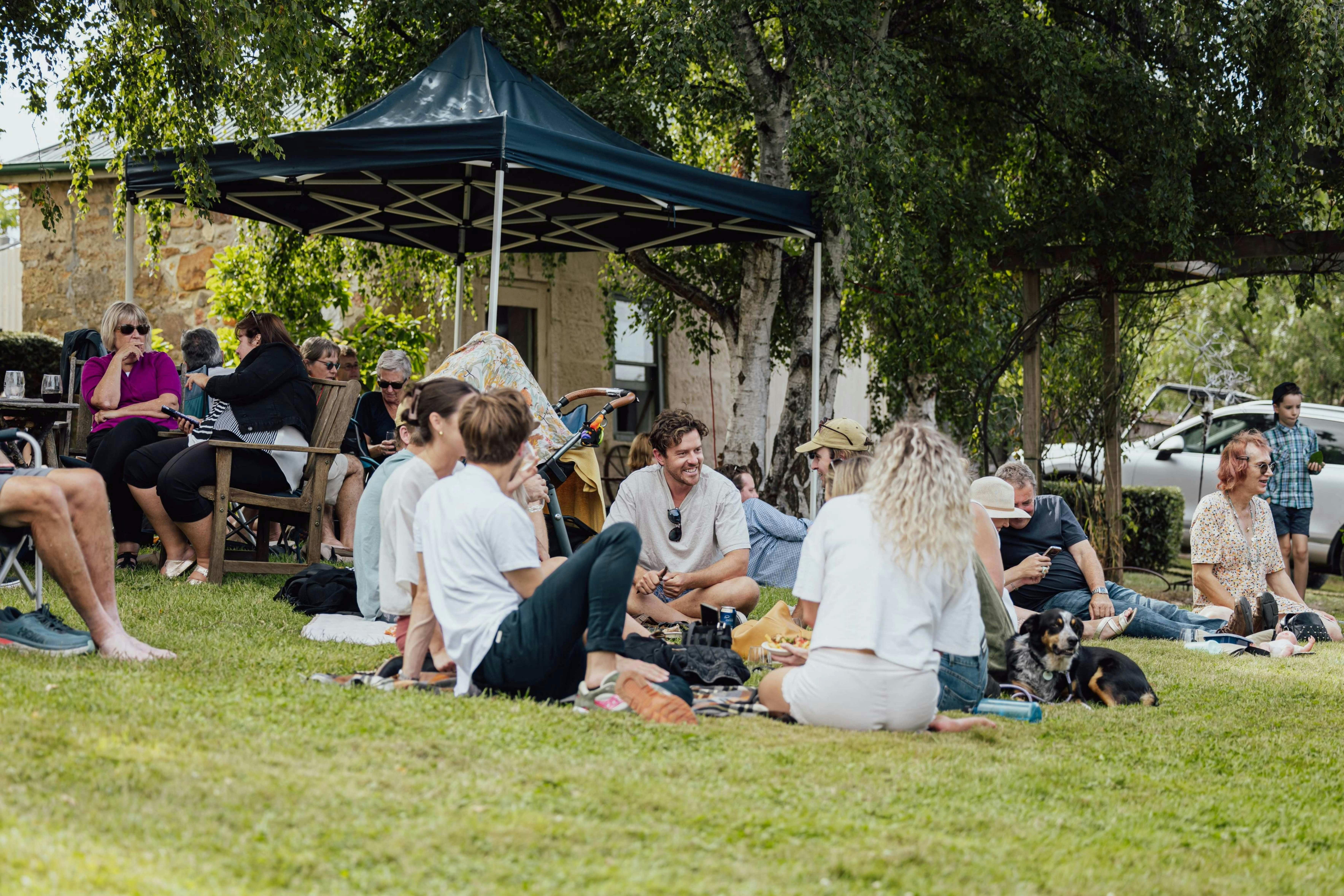 People sitting on lawns enjoying wines and music