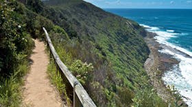 The Coast Walking Track