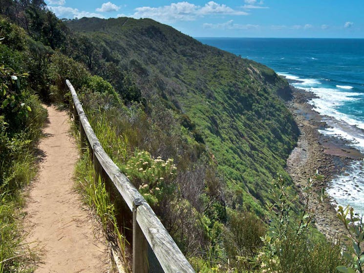 The Coastal Walking Track, Wyrrabalong National Park. Photo: John Spencer