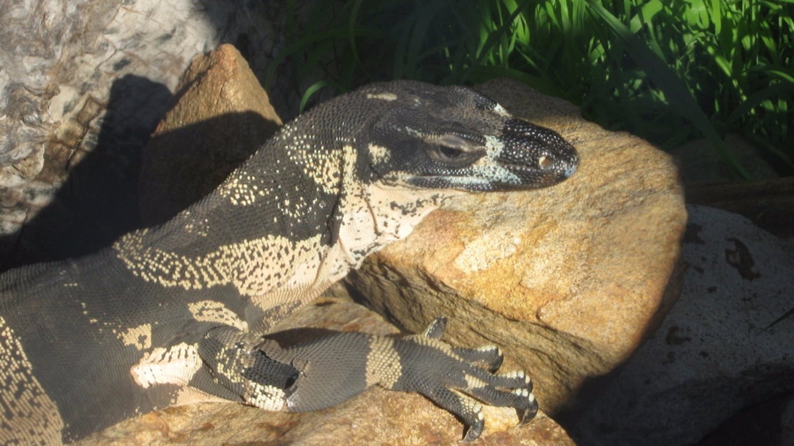Armadale Reptile Centre