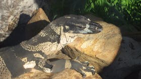 Armadale Reptile Centre