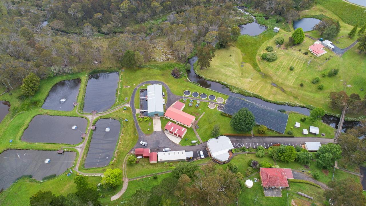 Dutton Trout Hatchery aerial