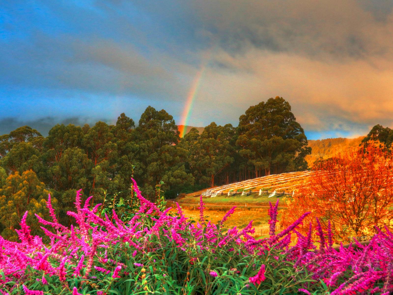 Views and rainbows