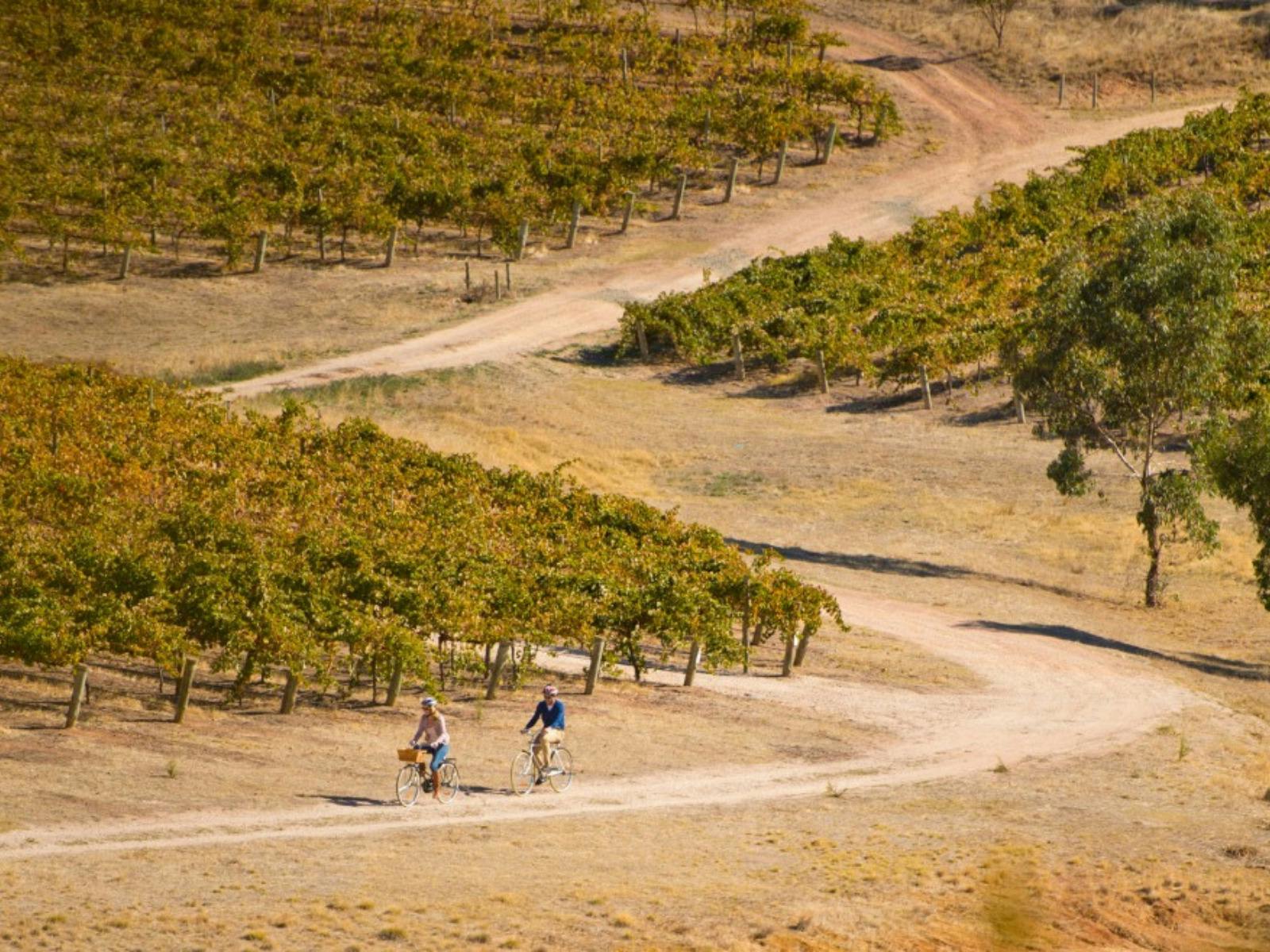 Explore The Clare Valley