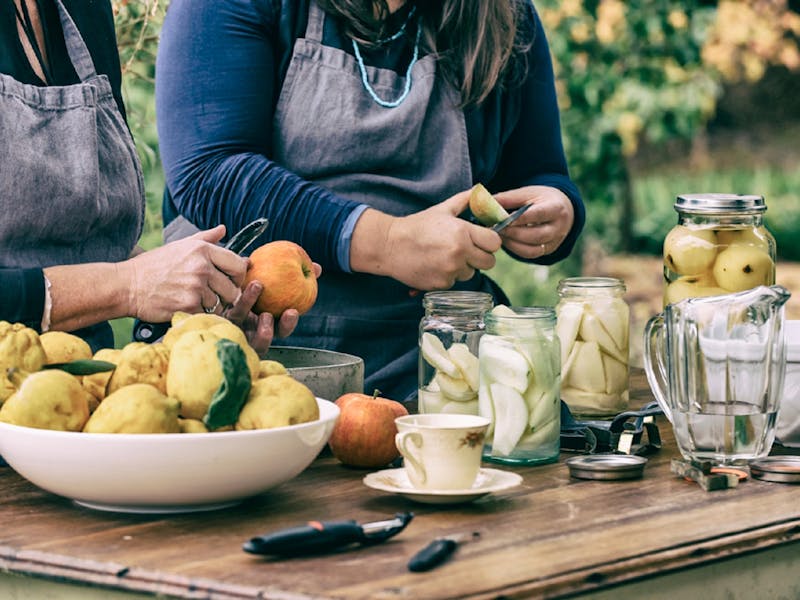 Image for Fruit Preserving Workshop by Those Barossa Girls - Barossa Vintage Festival