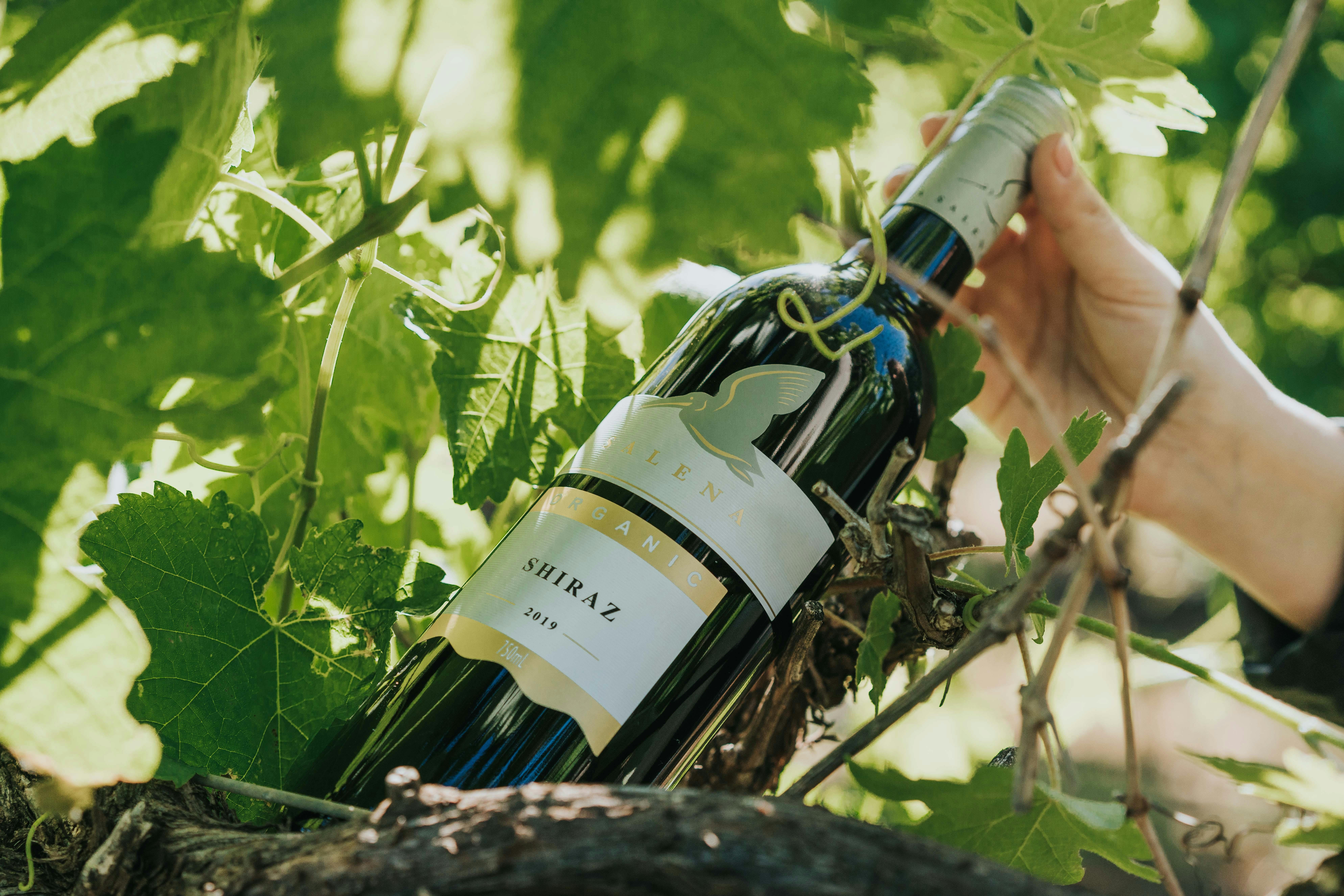 Salena Organic Shiraz