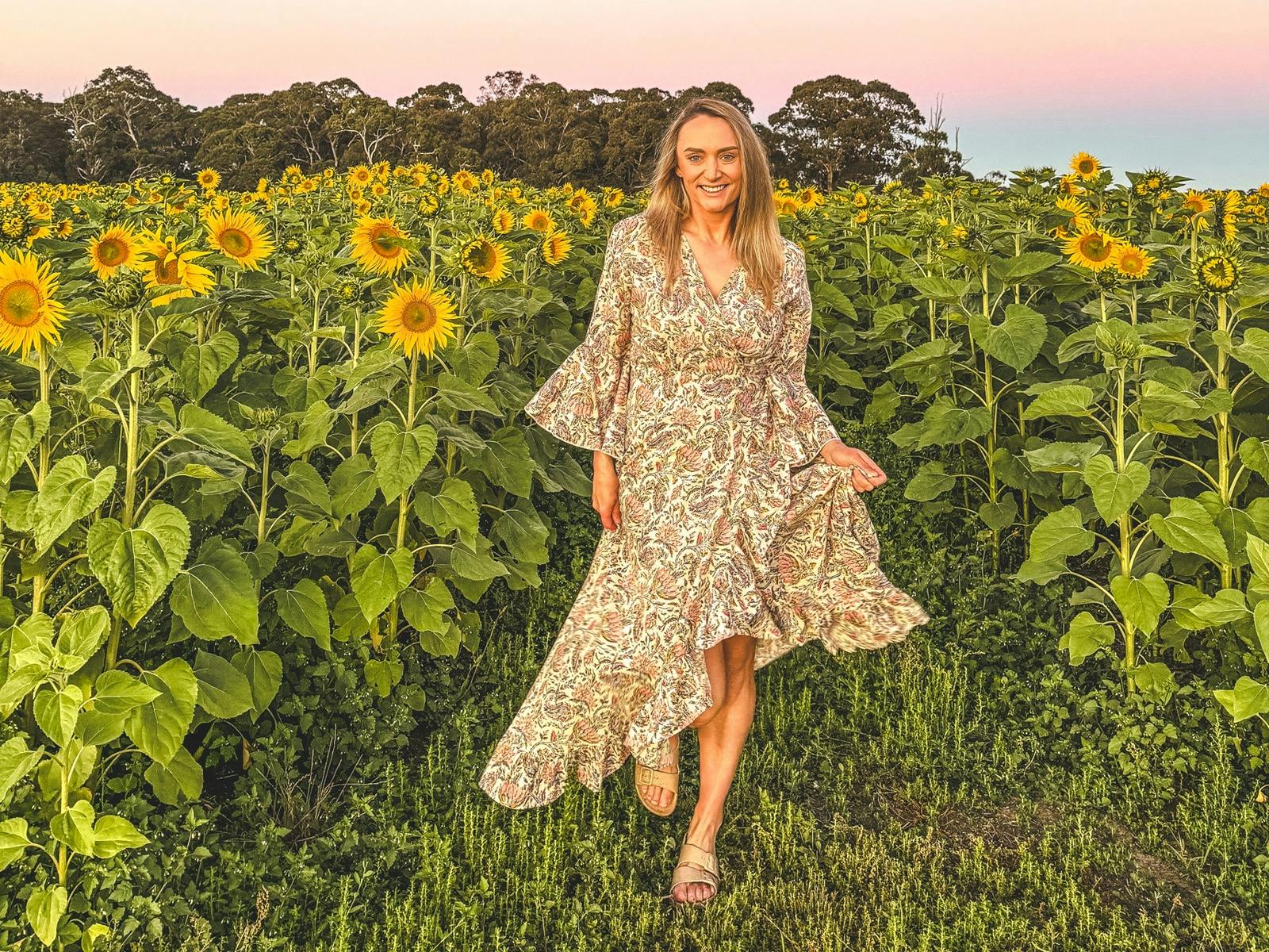 Atkins Farm Sunflowers 2024