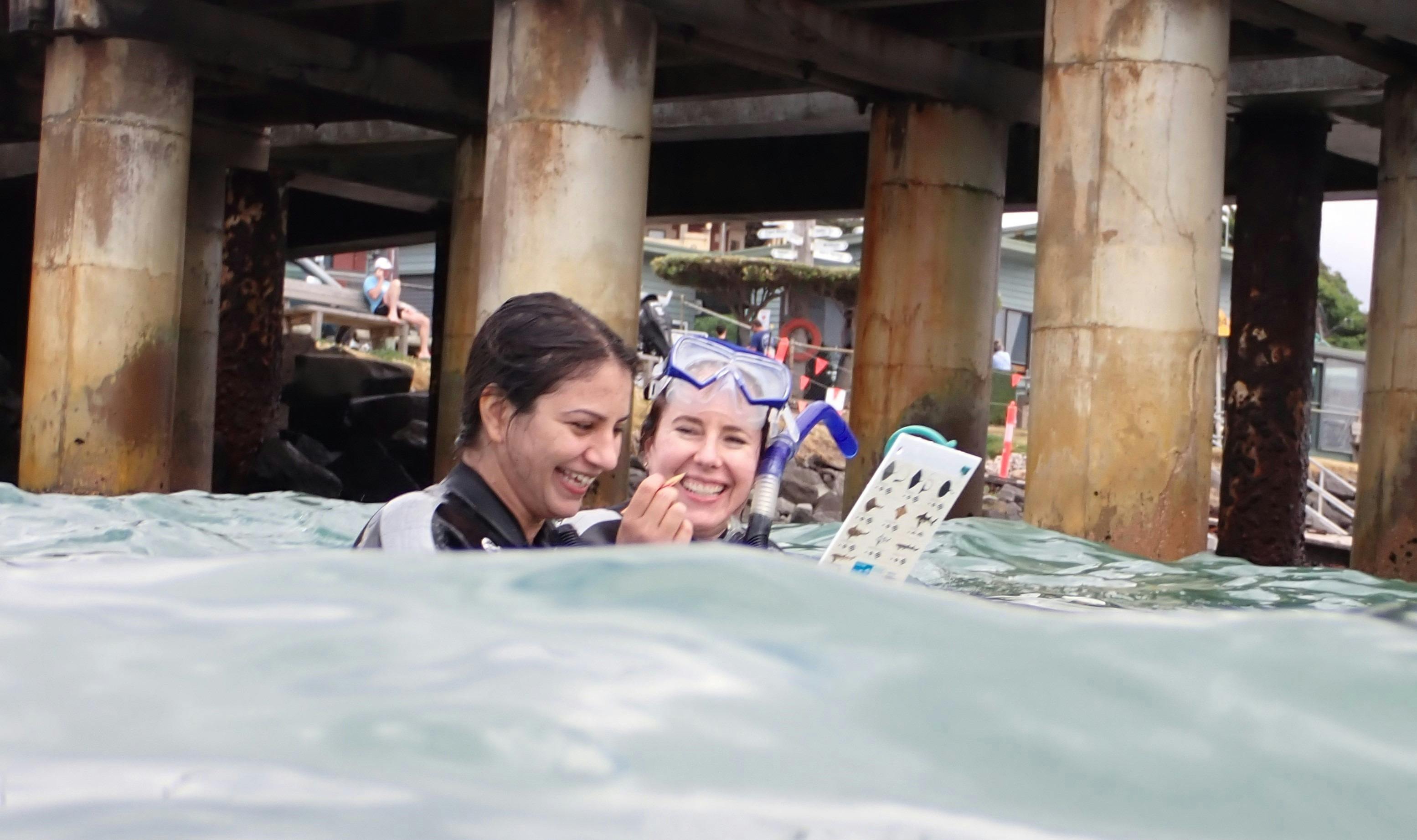 women snorkelling and monitoring fish
