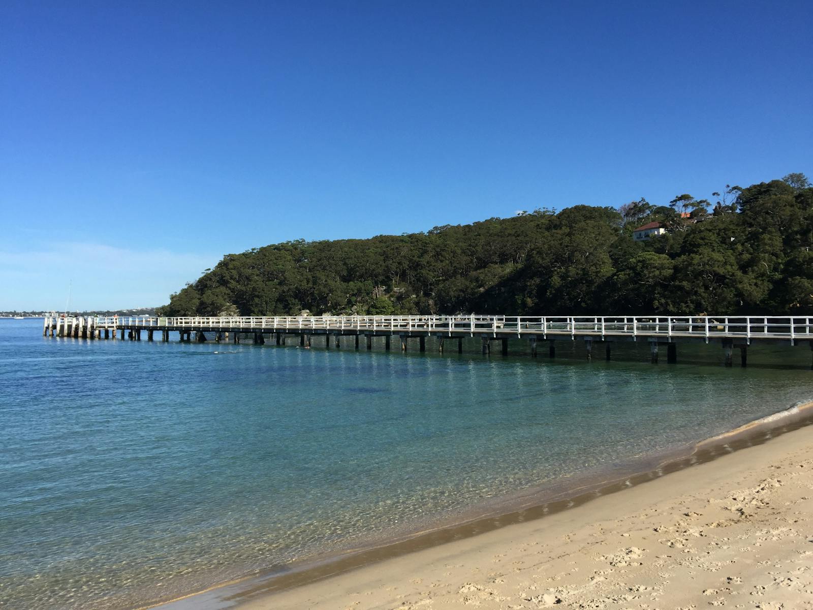 Chowder Bay Jetty