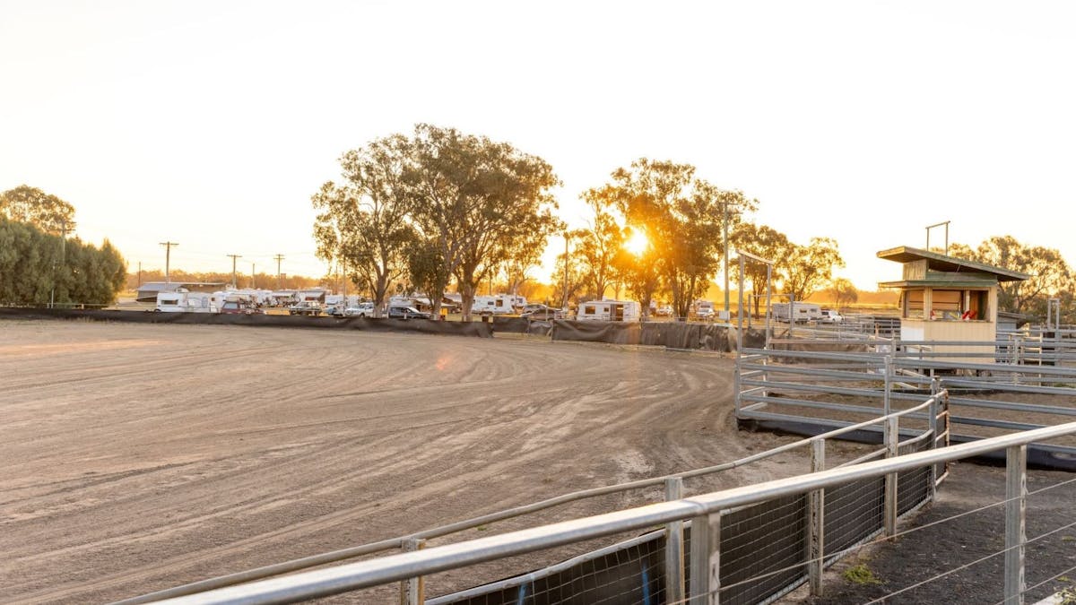 From time to time enjoy free equestrian entertainment