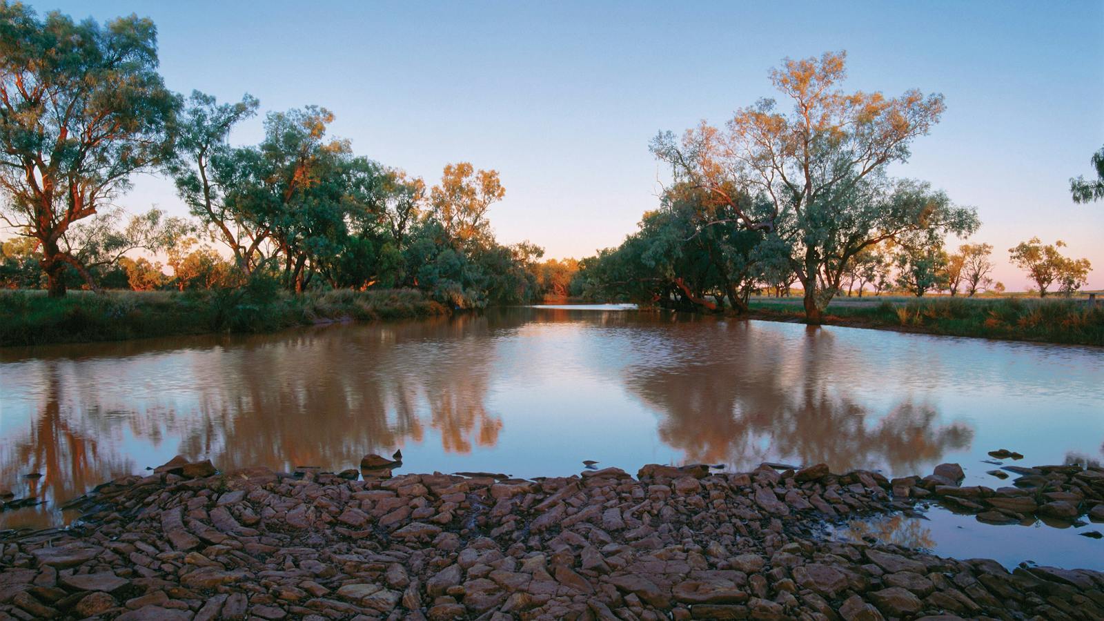 Combo Water Hole