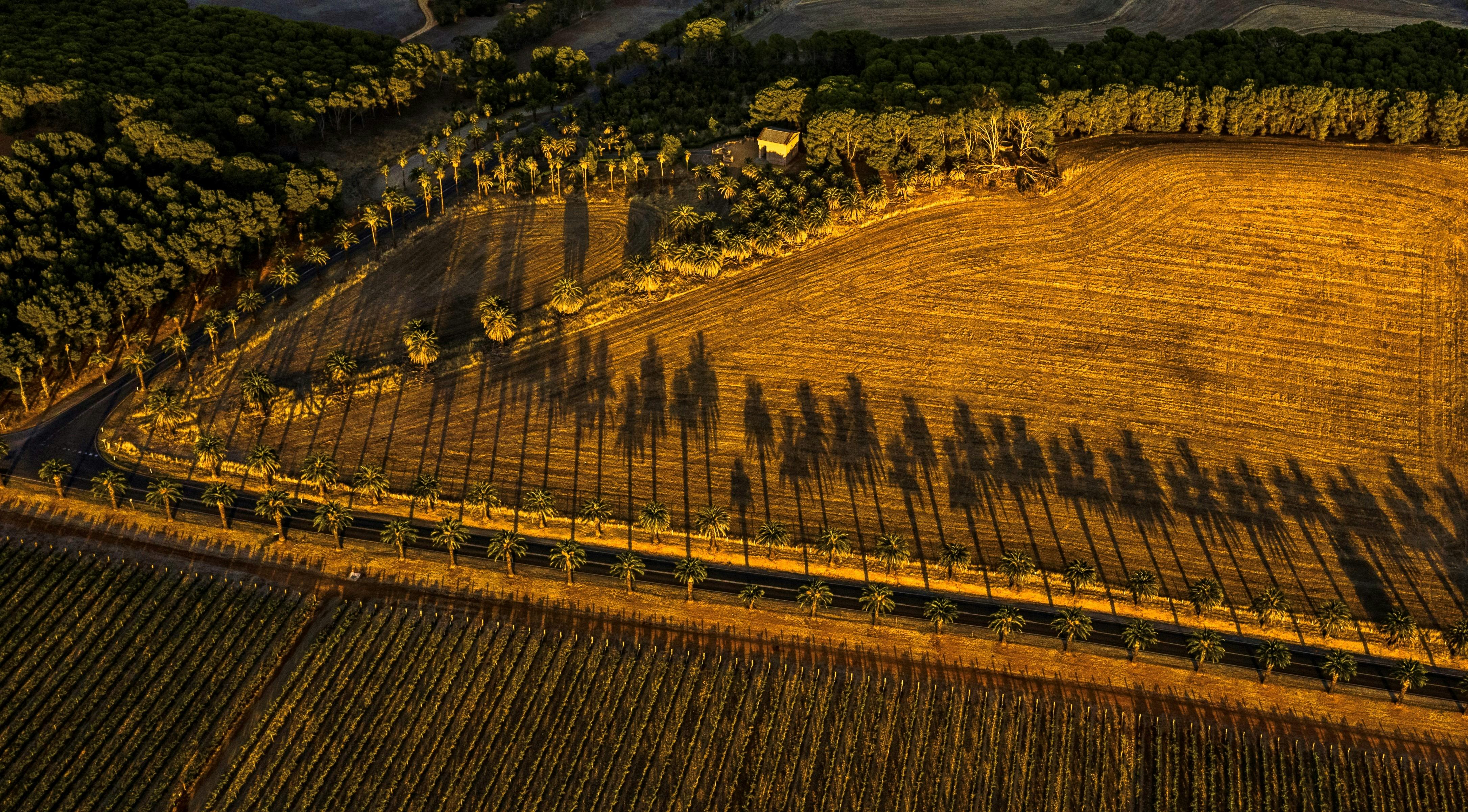 2027 Barossa Photographic Calendar SALA Exhibition
