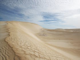 coffin-bay-dunes