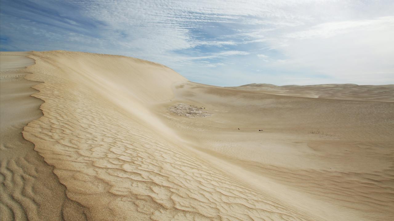 Coffin Bay National Park