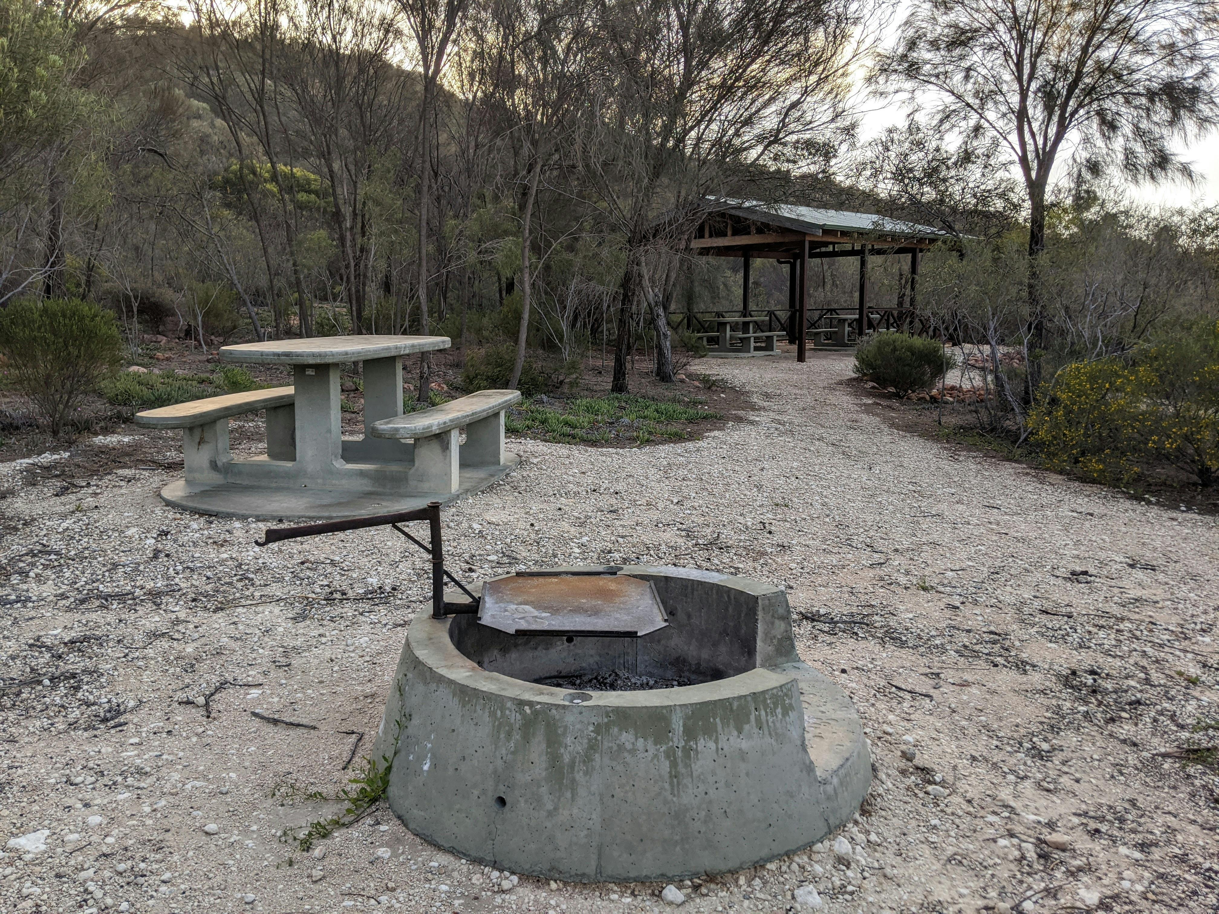 Concrete fire ring and picnic tables and bench.