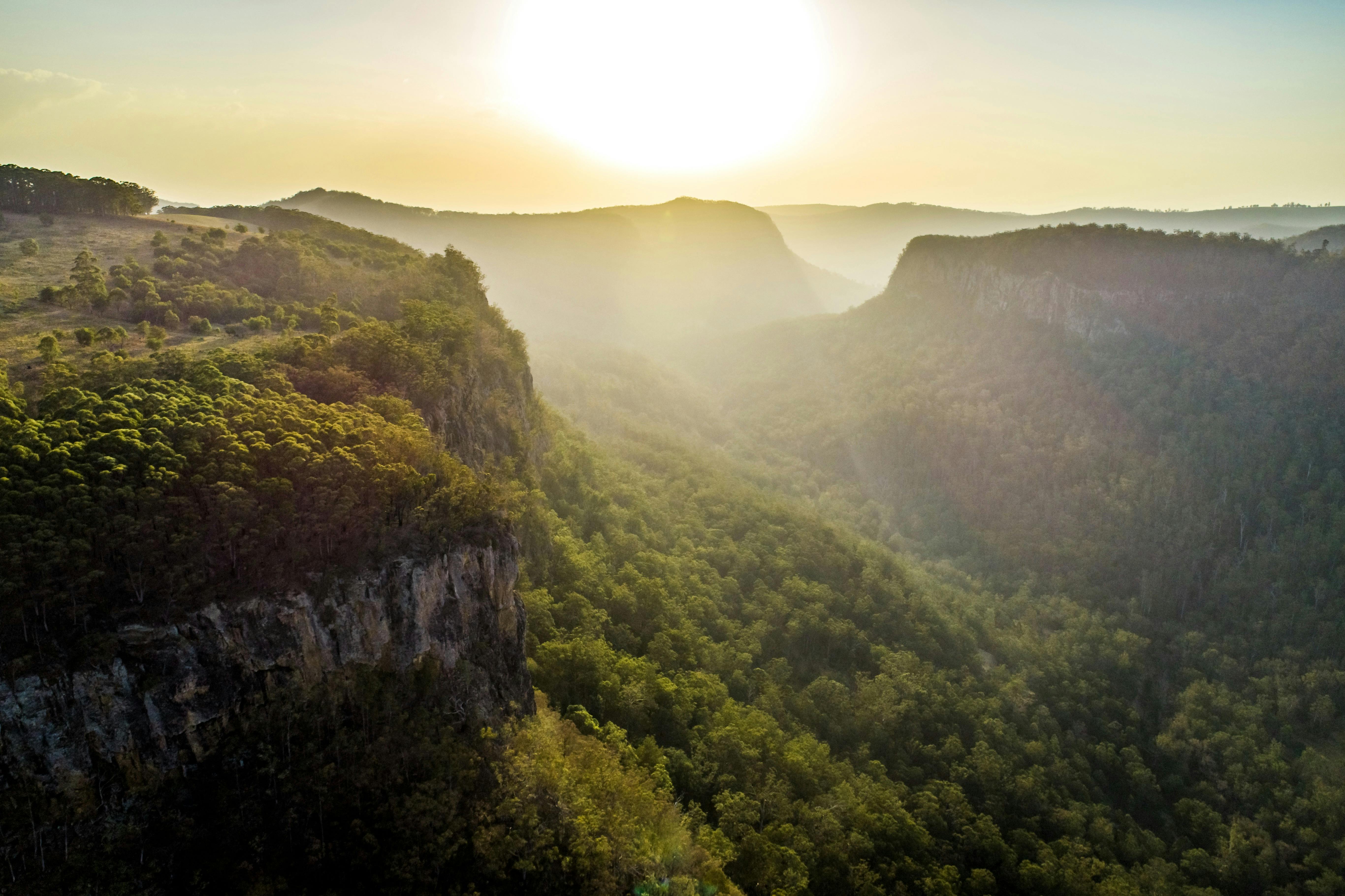 Mountains with valley in between filled with dense trees.