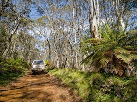 Barrington trail