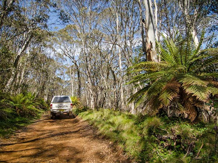 Barrington trail