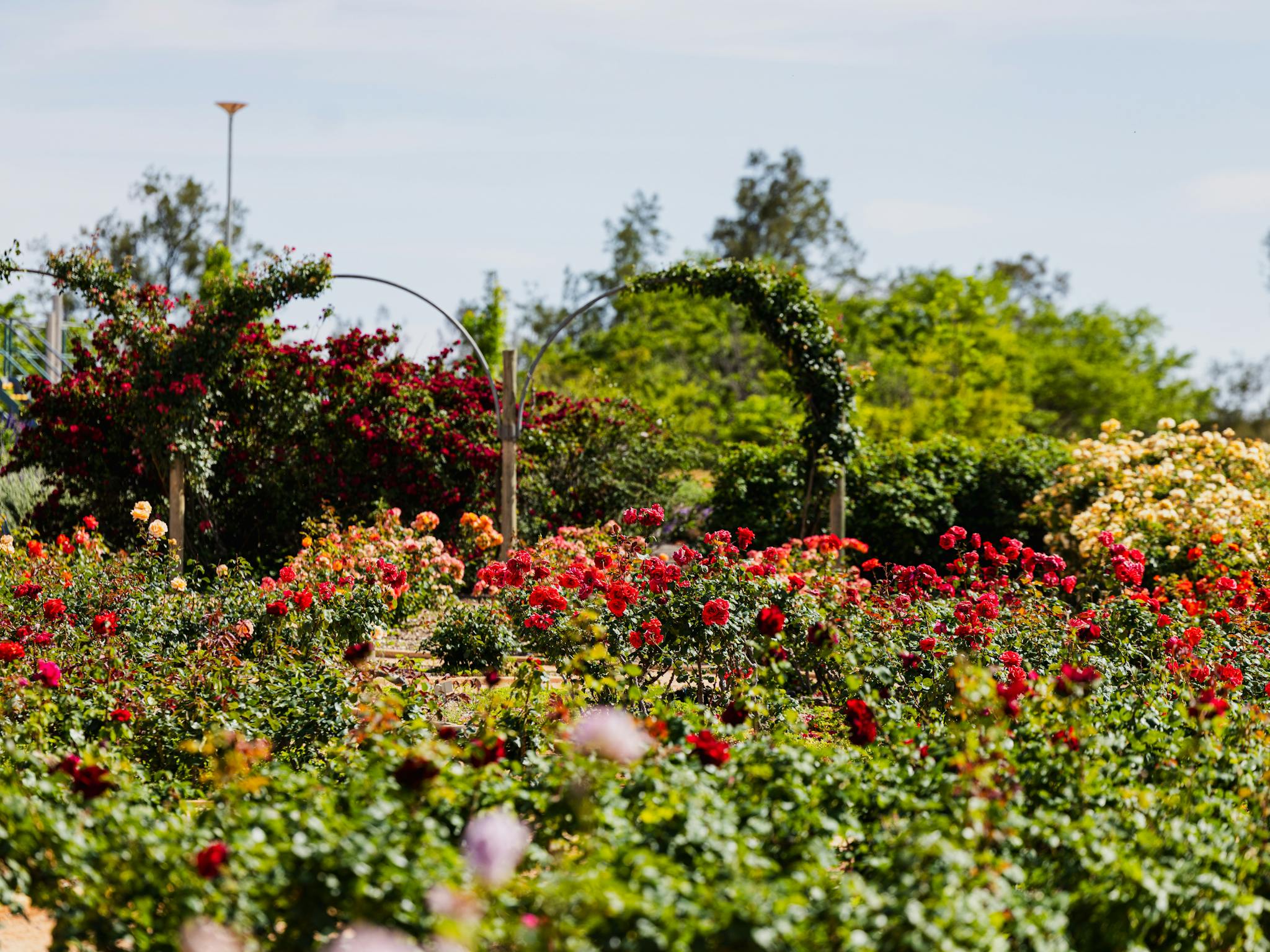 Beautiful gardens