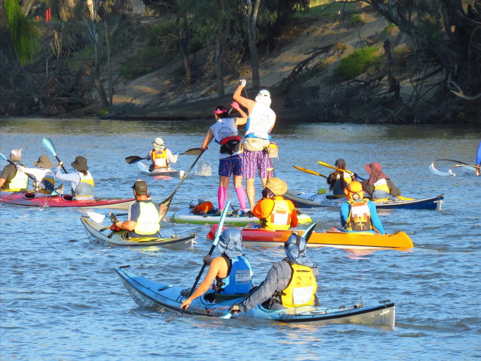 Massive Murray Paddle - MMP415