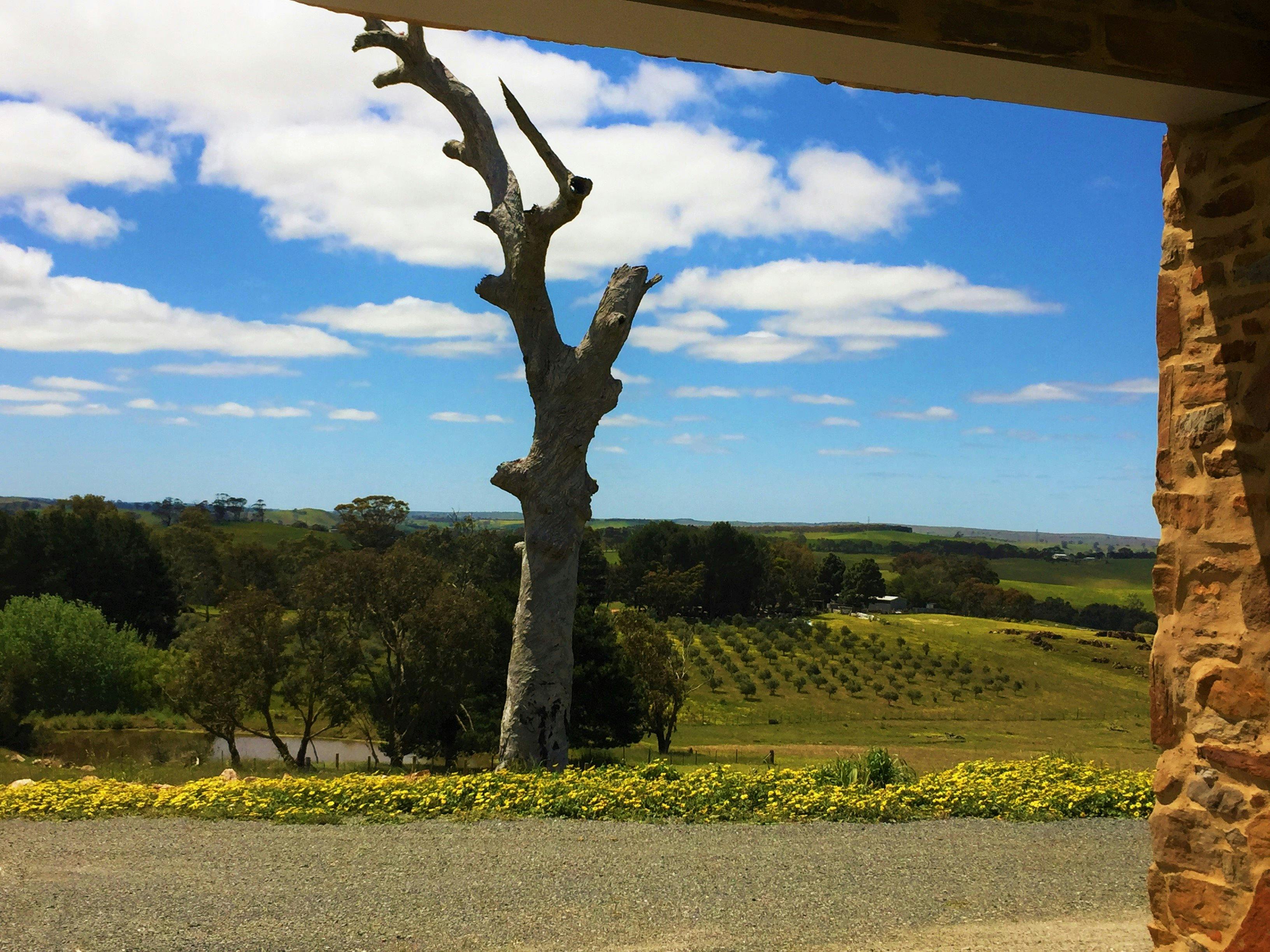 Views from the Undercover Alfresco Area