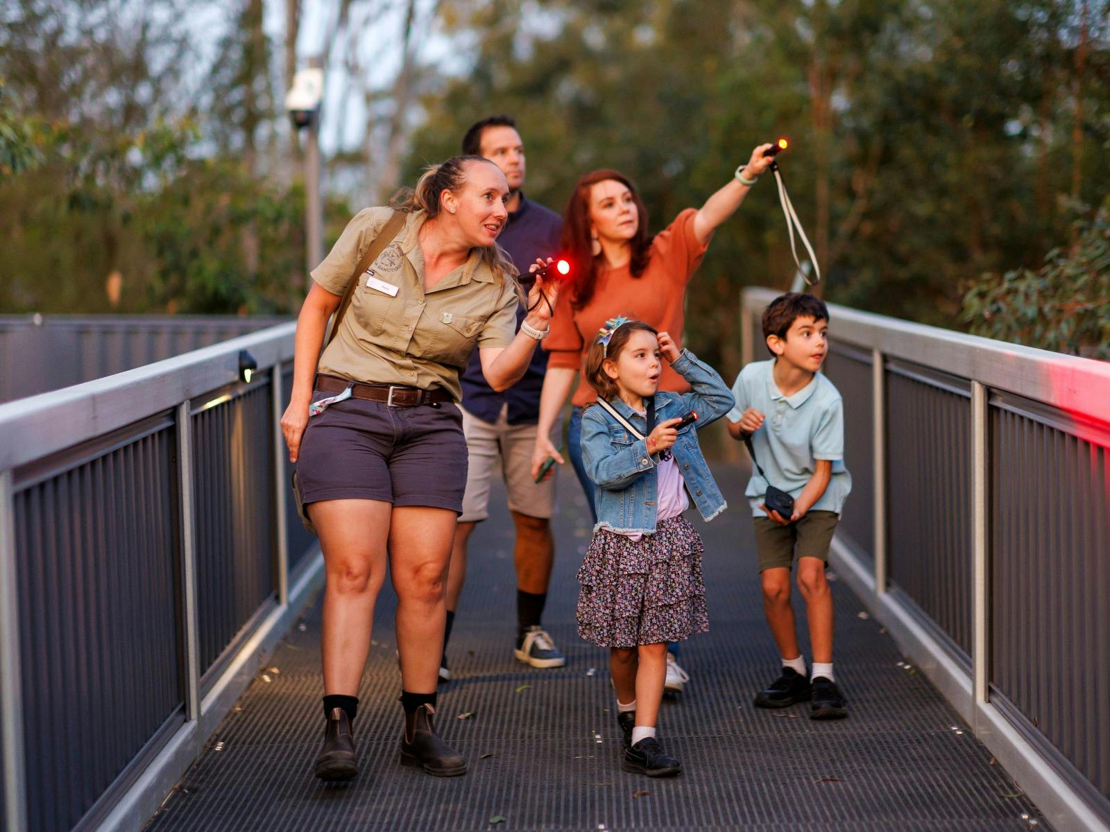 A wildlife guide leading children and families on a twilight tour through Lone Pine Koala Sanctuary. A wildlife guide leading children and families on a twilight tour through Lone Pine Koala Sanctuary.