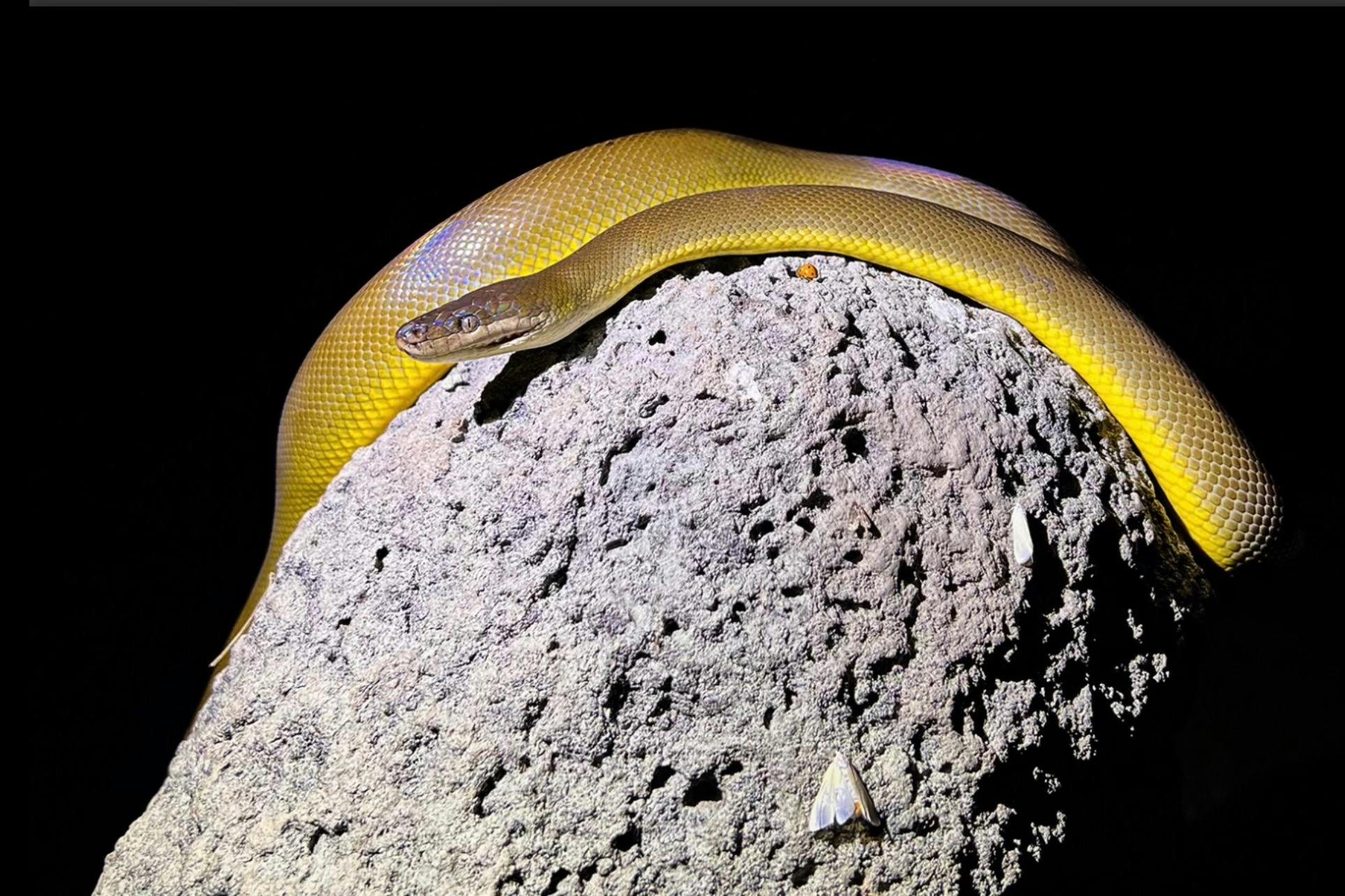 Outback Camp Overnight Tour