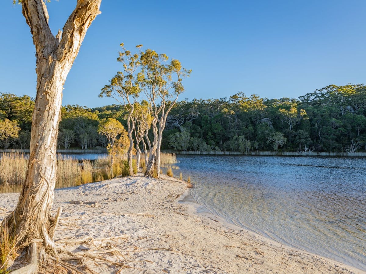 Sand area at Poona Lake with bushland in the background Sand area at Poona Lake with bushland in the background