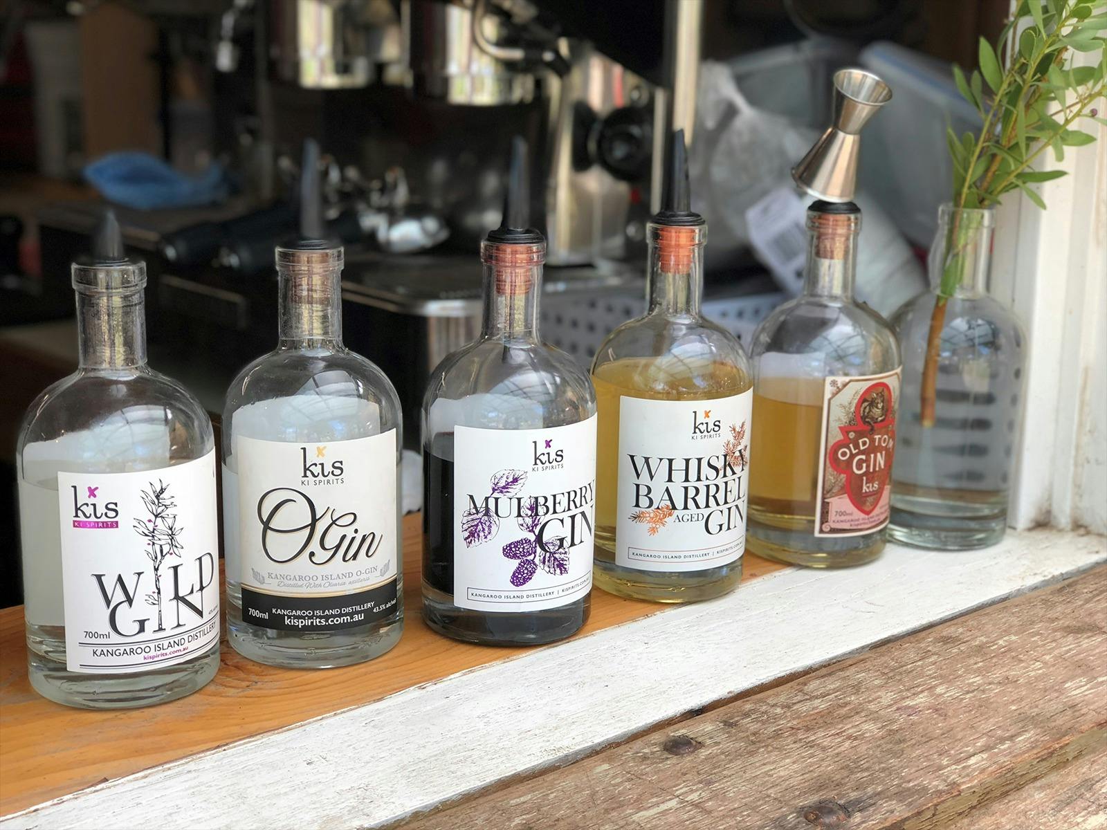 A selection of gins on display