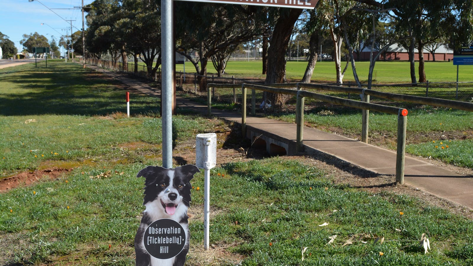 Observation Hill and Lookout