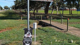 Observation Hill and Lookout