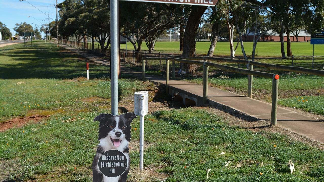 Sheep Dog Tourism Site Signage
