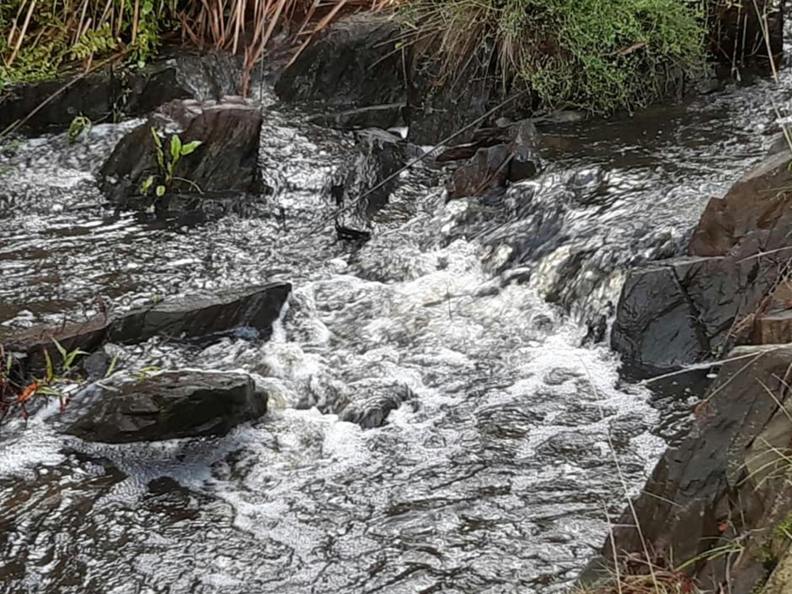 Hindmarsh Falls in full flow.