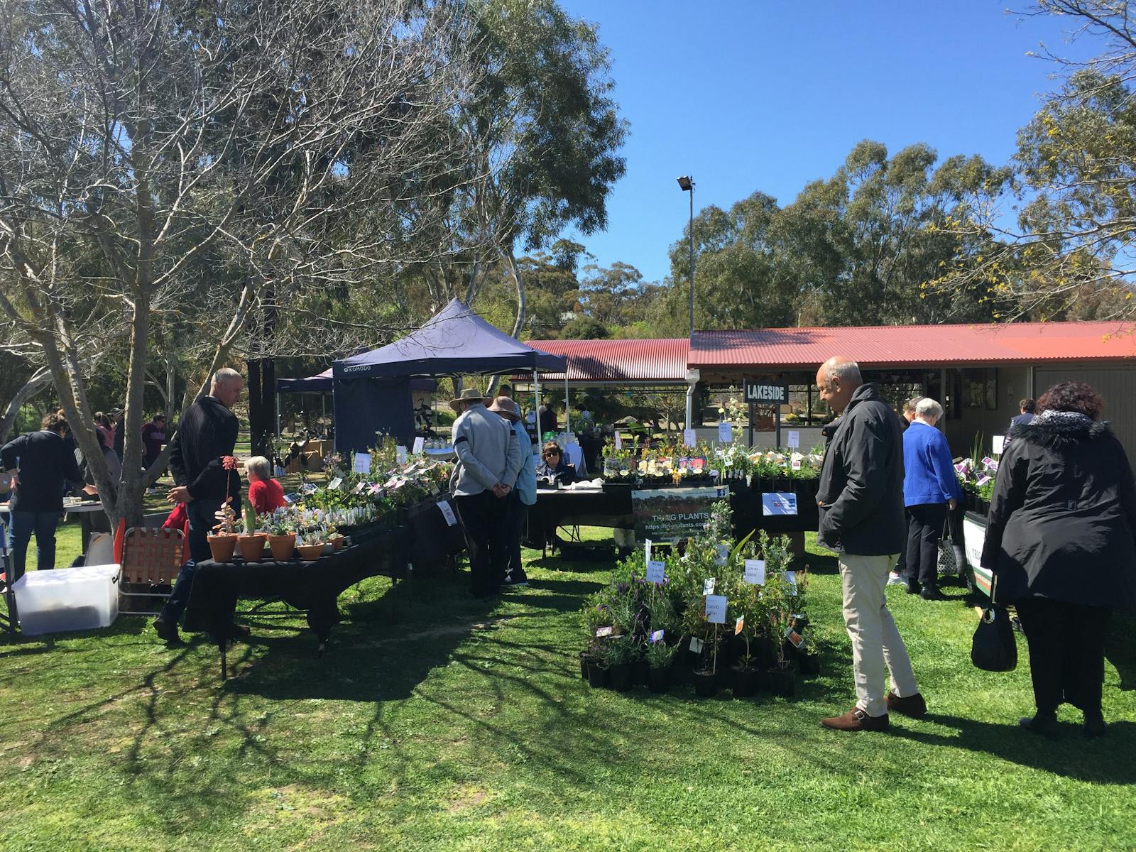 Image for Spring Art & Garden Fair