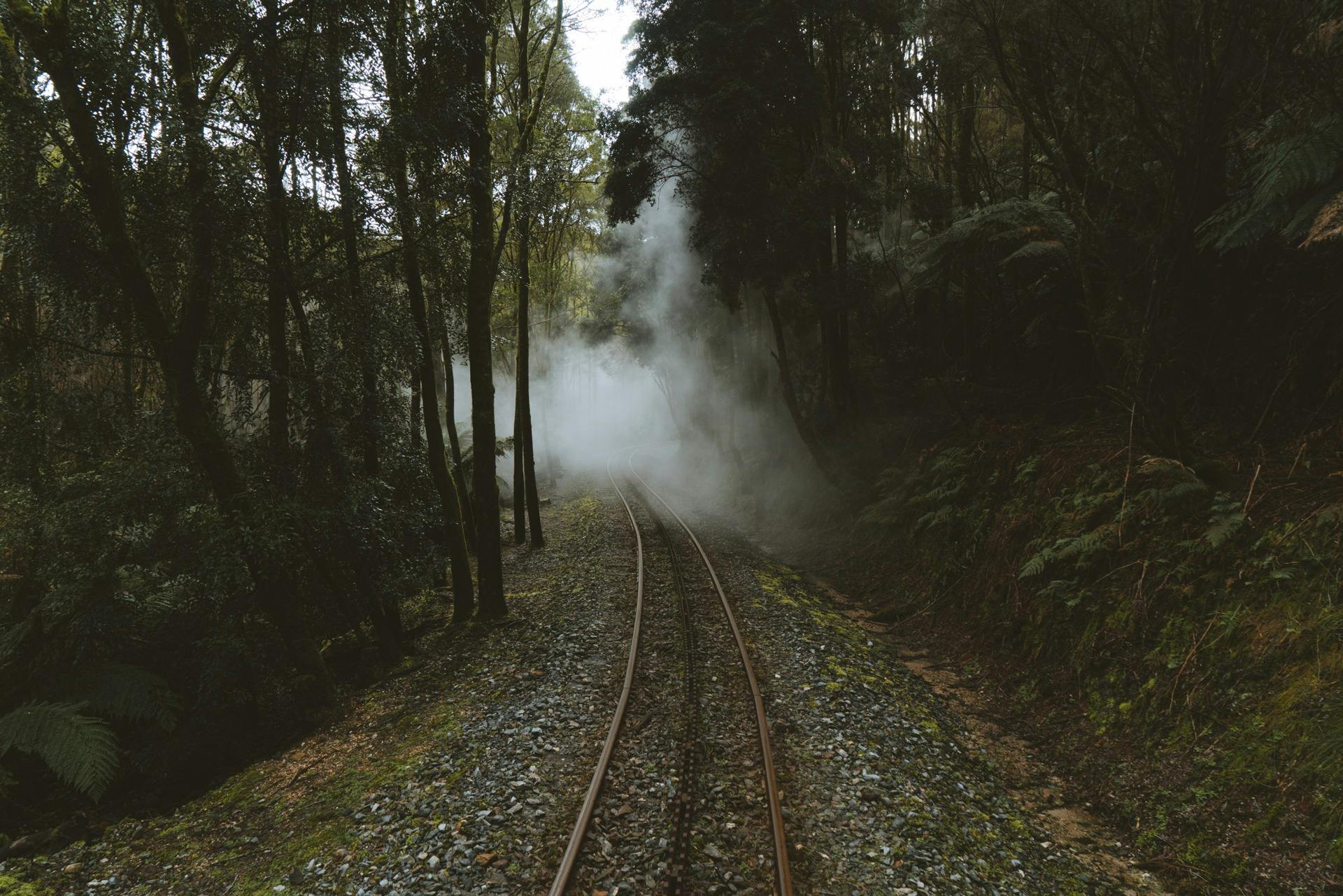 Train track through the wilderness
