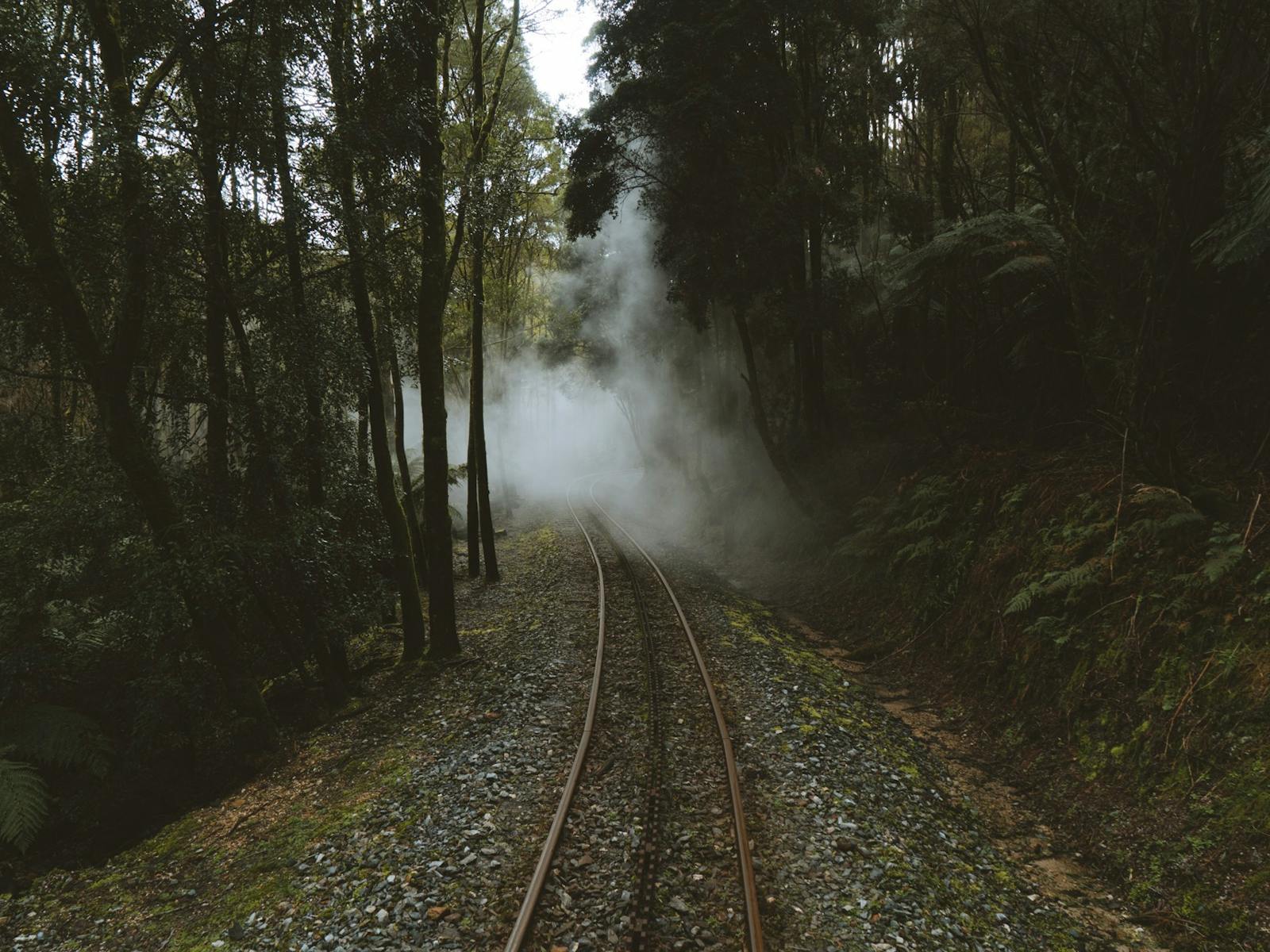 Train track through the wilderness