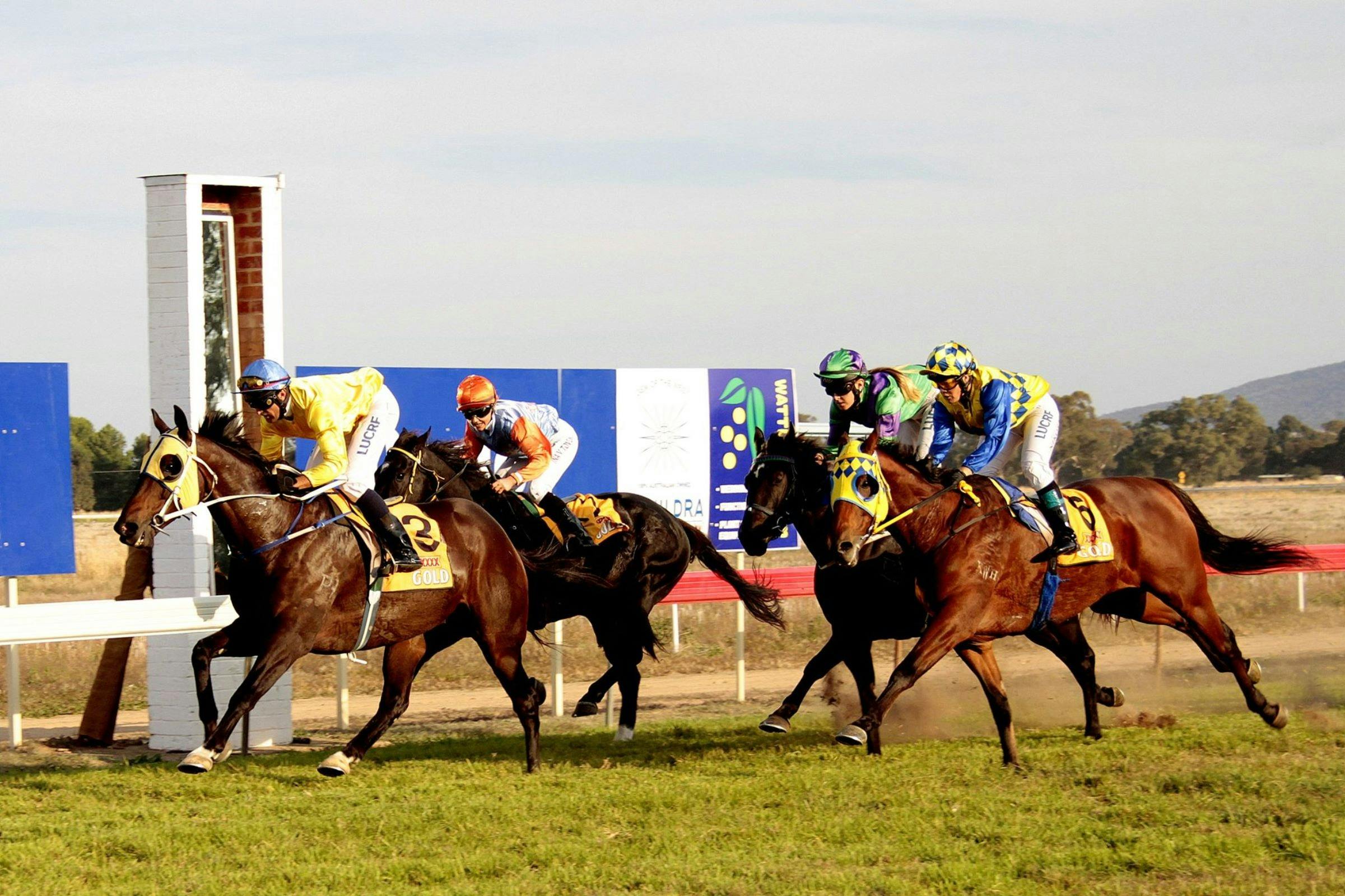 Cootamundra Picnic Races | NSW Holidays & Accommodation, Things to Do