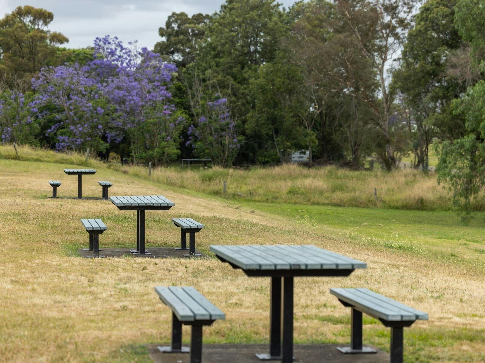RH Taylor Reserve - Picnic Tables