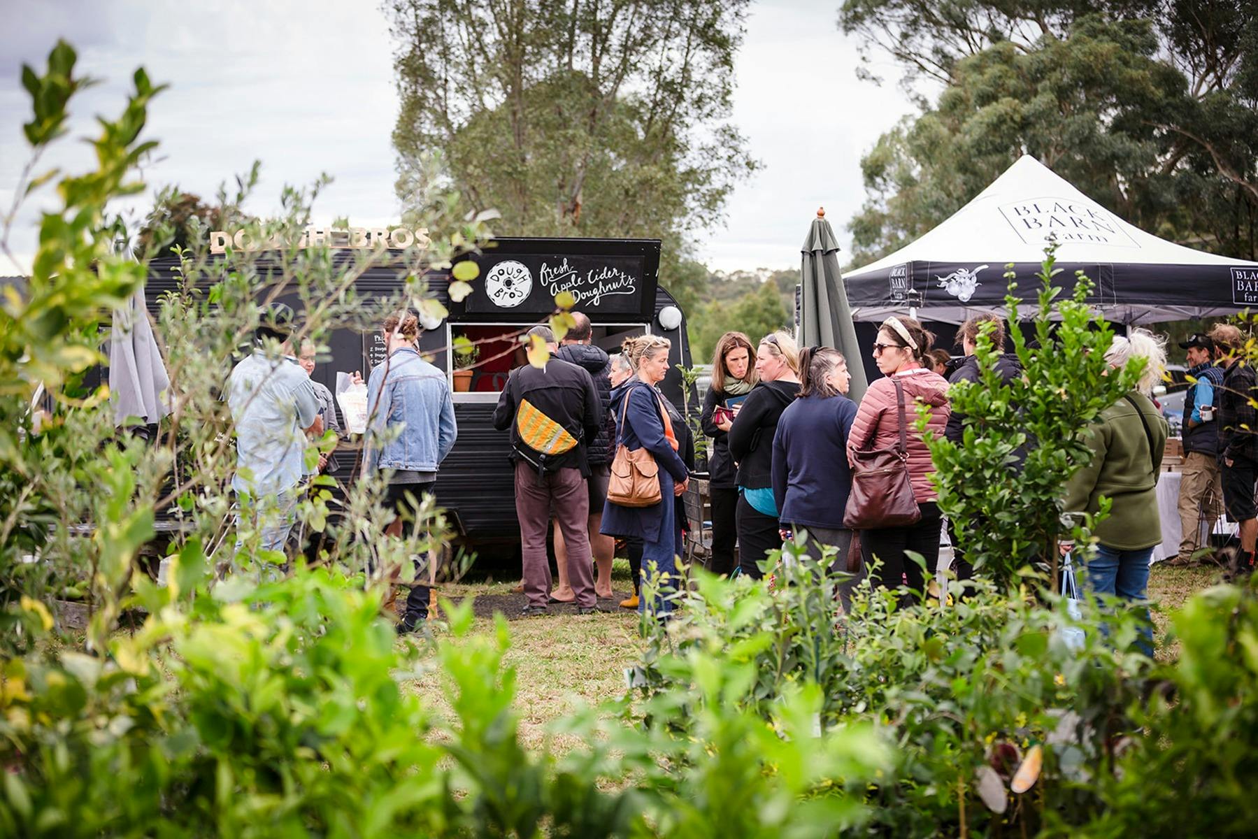 Sustainable Market