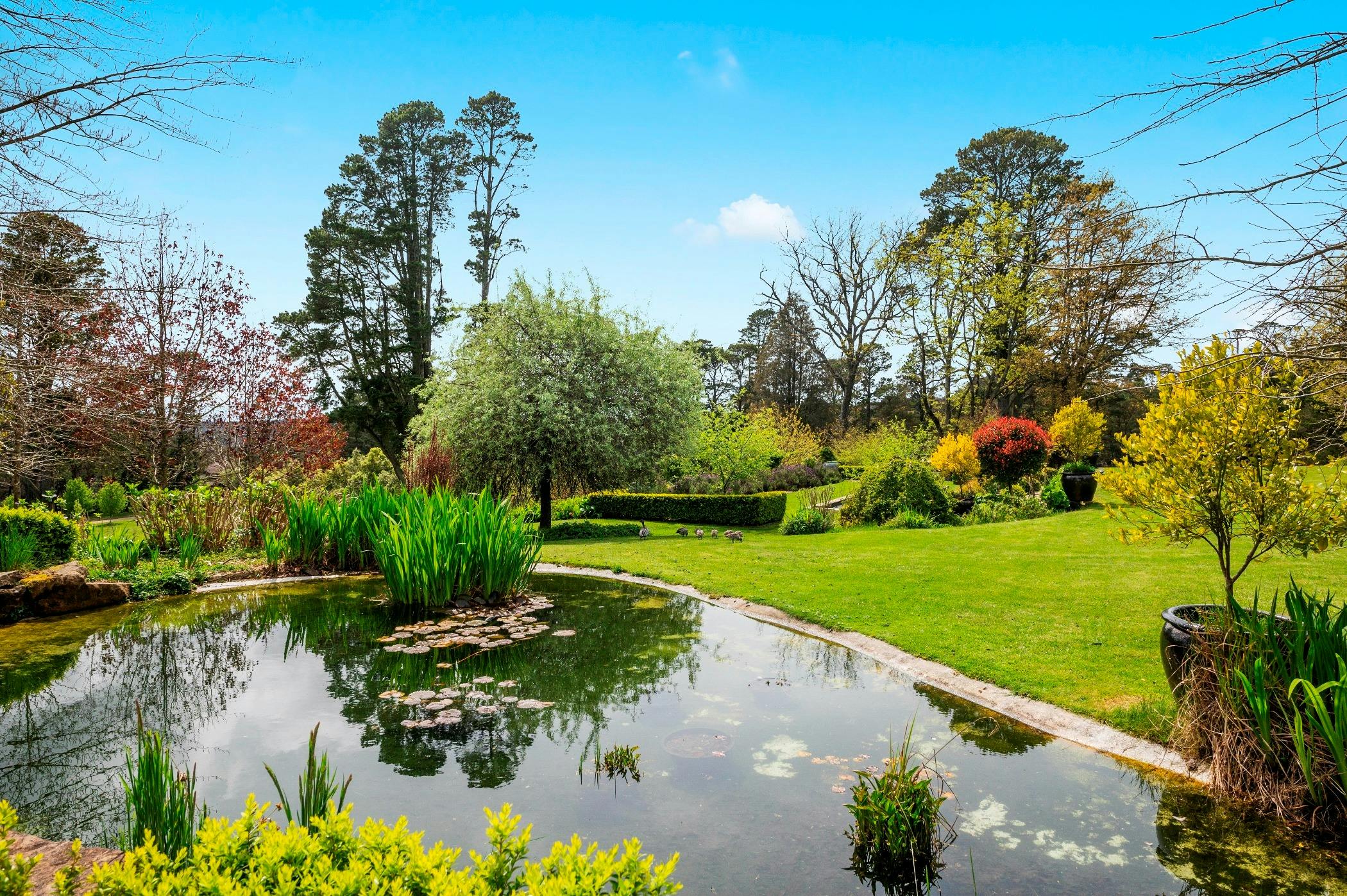 公園池塘和花園