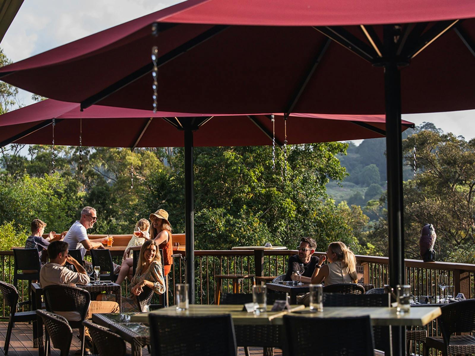 Family and couples dining at Kondalilla Restaurant