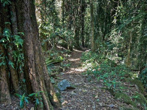 Pholis Gap Walking Track